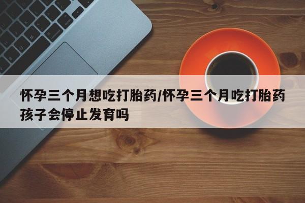 私人卖打胎药的联系方式微信怀孕三个月想吃打胎药/怀孕三个月吃打胎药孩子会停止发育吗