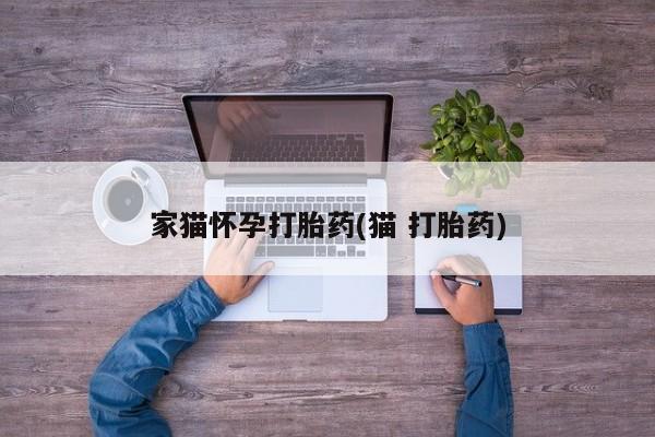 私人卖打胎药的联系方式微信家猫怀孕打胎药(猫 打胎药)